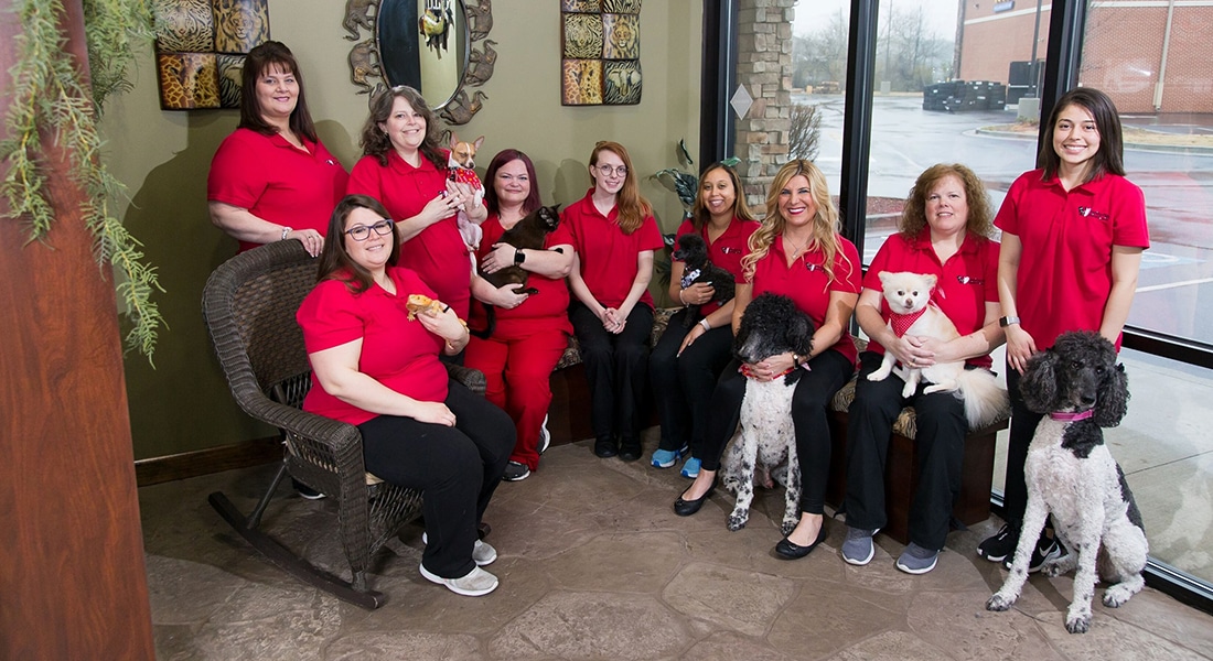Nine women in red shirts, likely staff at a pet clinic, sit and stand indoors with various dogs and cats. Smiling warmly, they appear to be a dedicated team at a veterinary clinic or animal hospital.