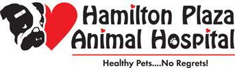 Logo for Hamilton Plaza Animal Hospital features a cartoon dog's face beside a red heart, with the slogan "Healthy Pets...No Regrets!" underneath. Perfect for any vet or animal hospital wanting a playful, caring touch.